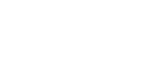 The Rug Store